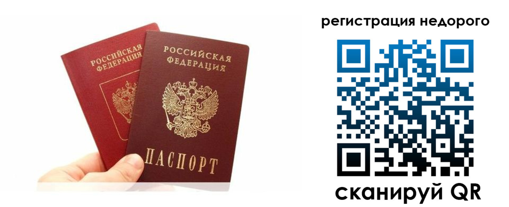 временная регистрация адрес в Светлогорске