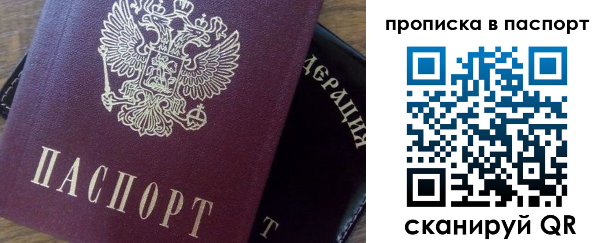 временная прописка в Светлогорске