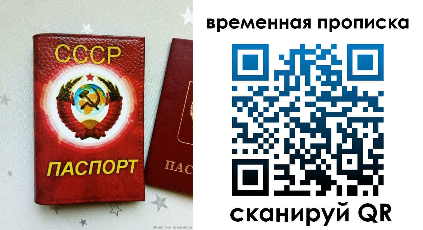 прописка гарантия в Светлогорске